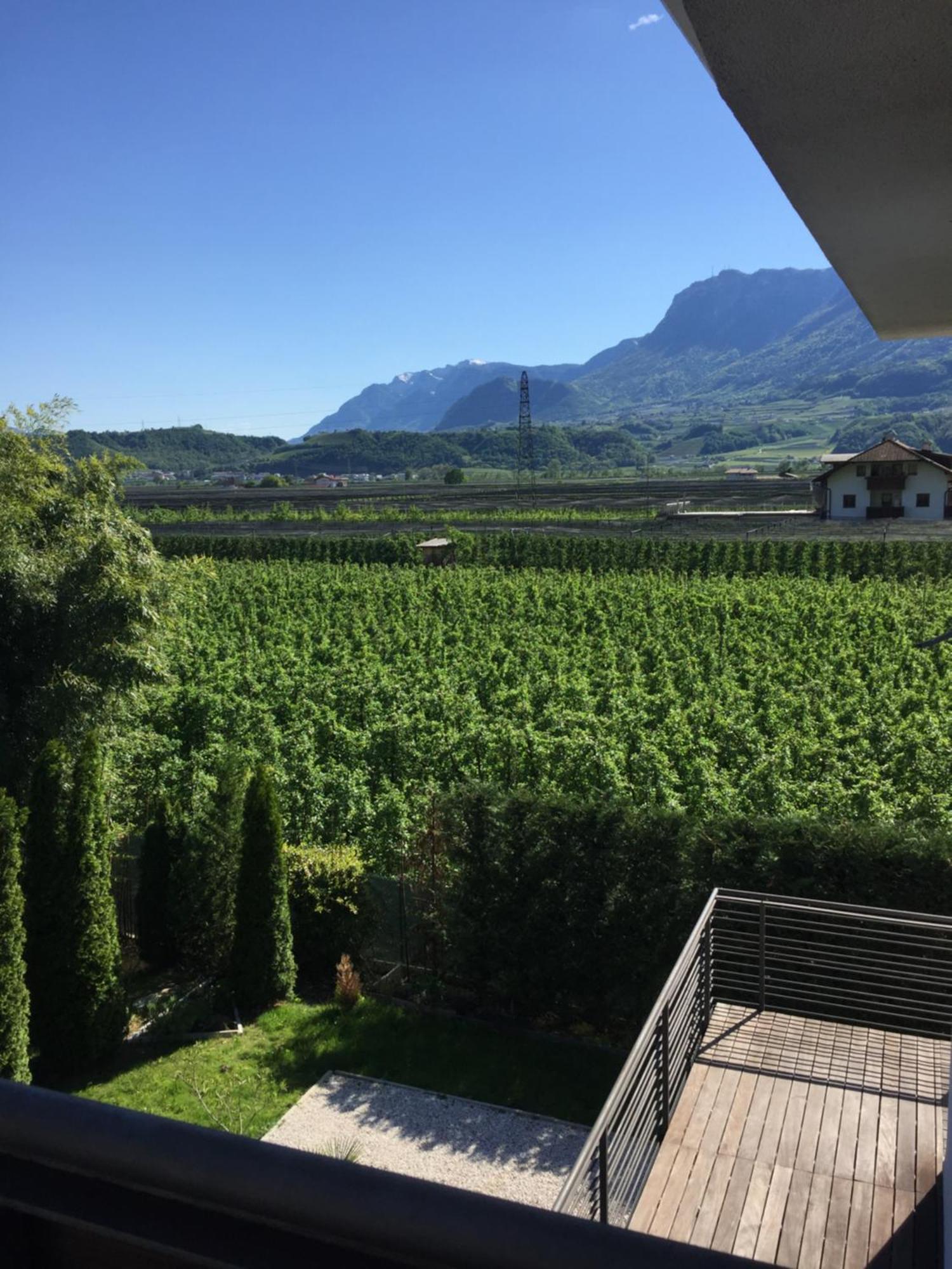 B&B Mele d'Oro Bolzano Exterior foto